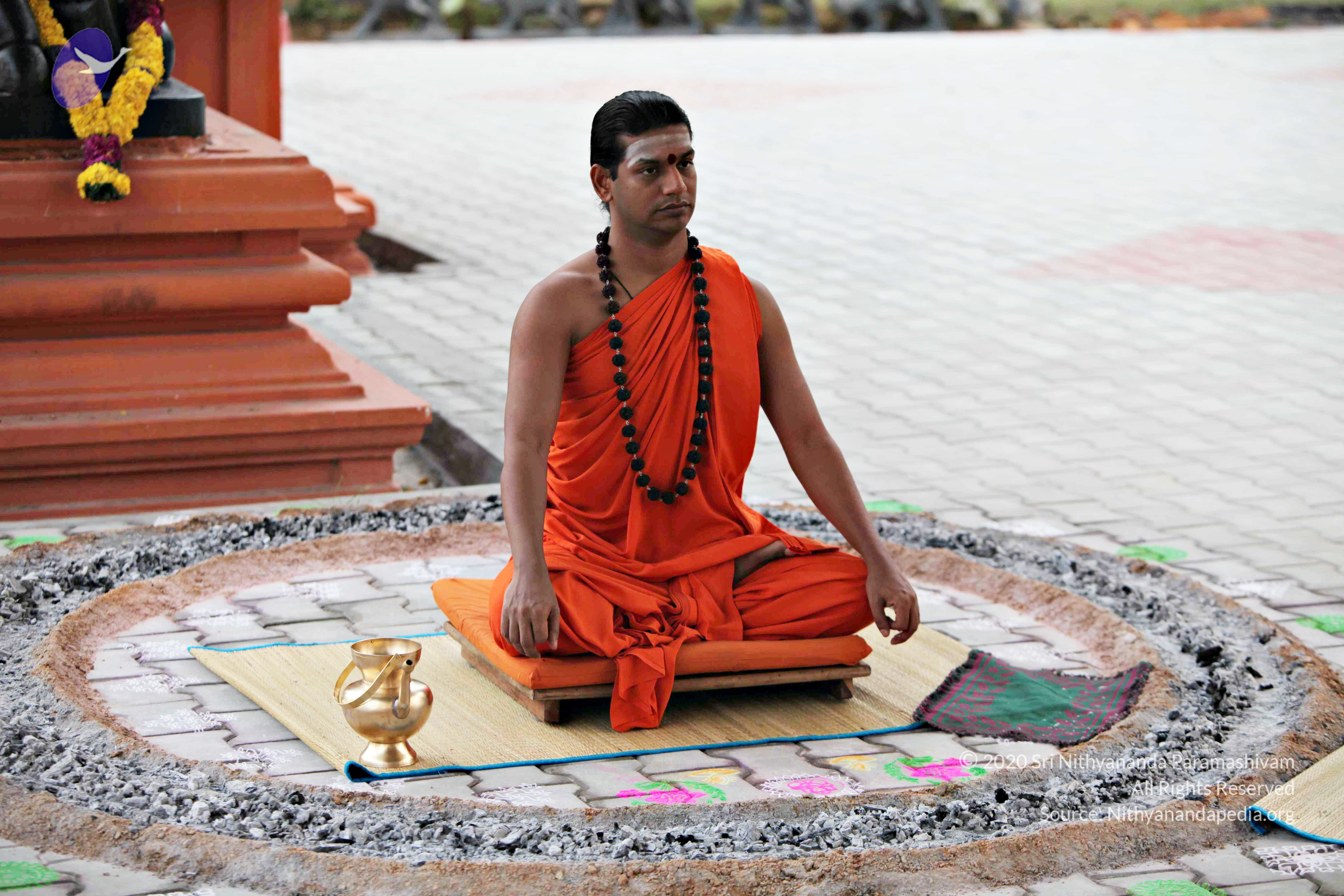 20110225_Photo_1074_IMG_0809_CMP_WM